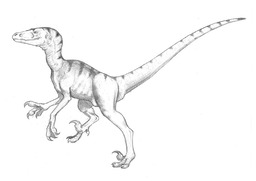 Utahraptor by hiyath on