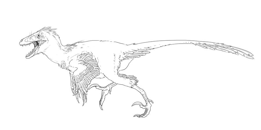 Utahraptor lines by llamathedragon on