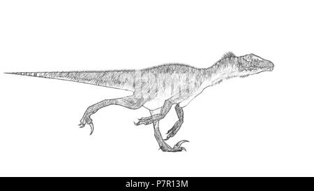 Utahraptor drawing hi