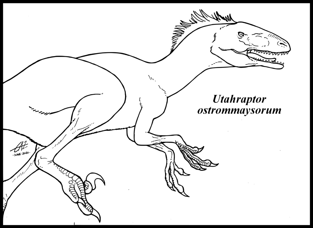 Utahraptor research