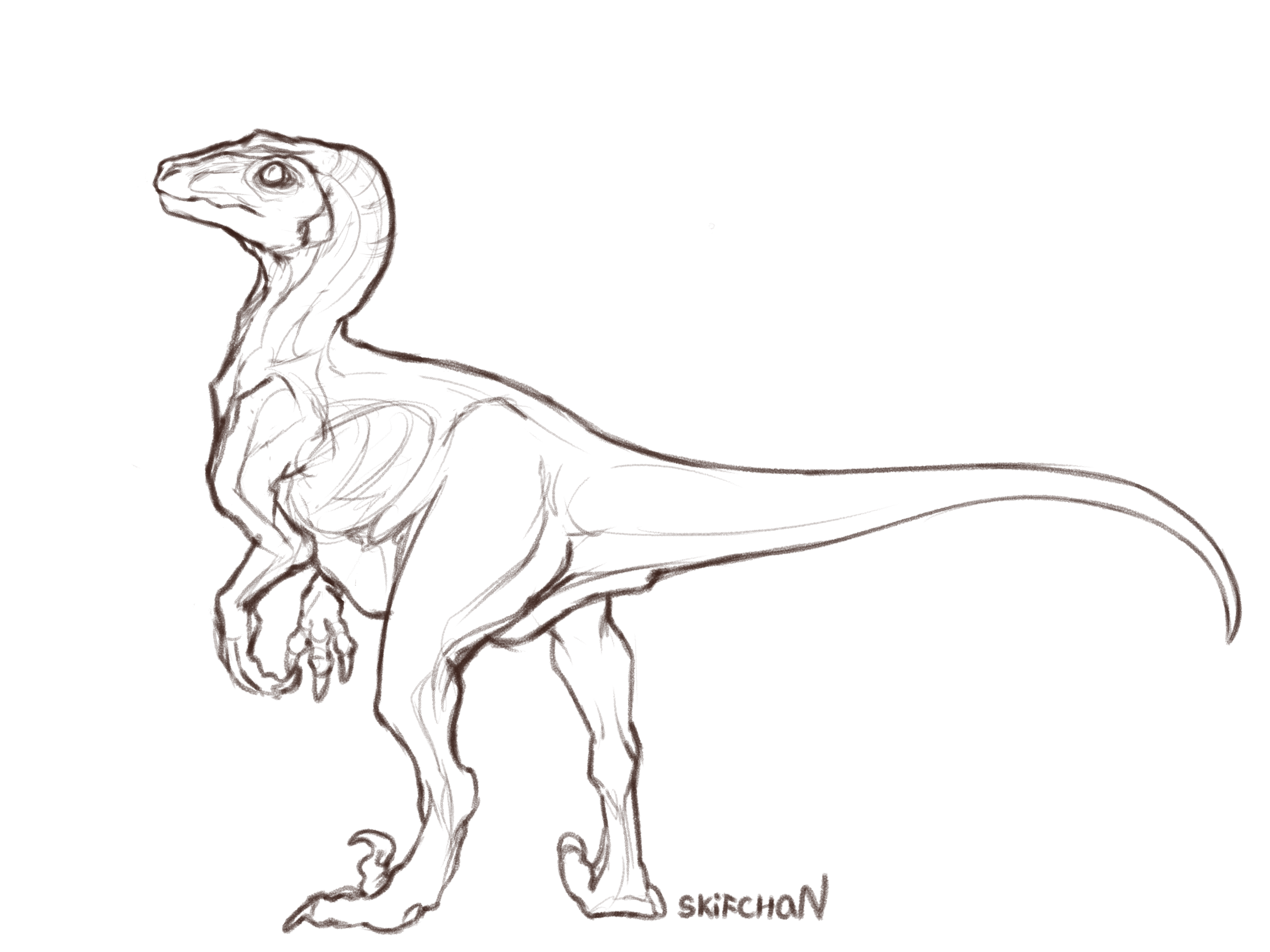 Free to use utahraptor lineart by skifchan