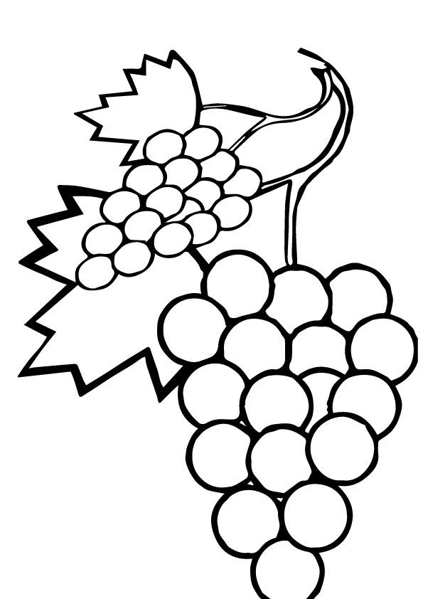 Uva para colorir fruit coloring pages coloring pages apple coloring pages