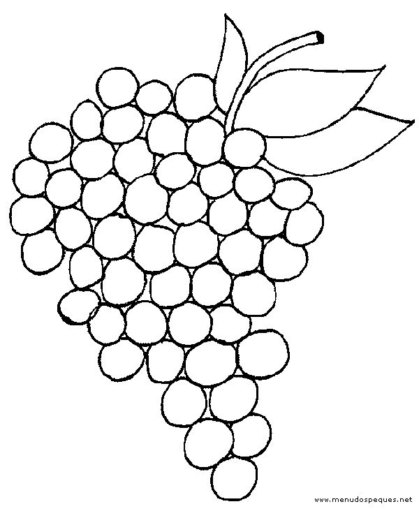 Vendimia uvas