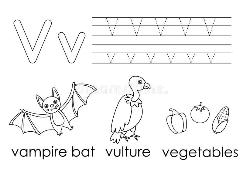 V vegetables stock illustrations â v vegetables stock illustrations vectors clipart