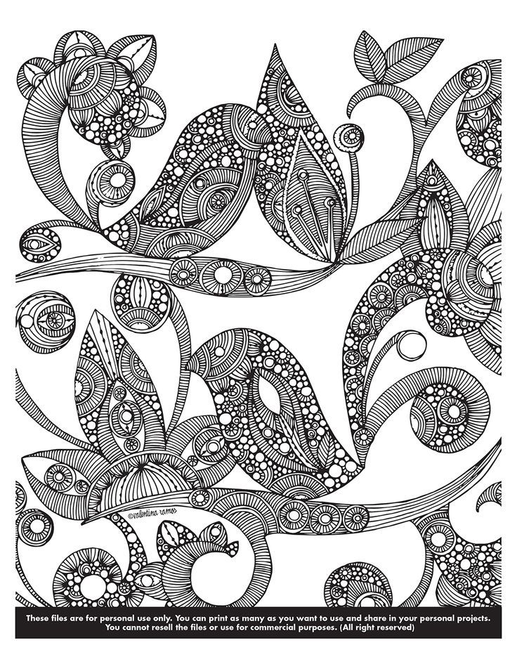 Valentina harper coloring pages bird coloring pages coloring pages coloring books