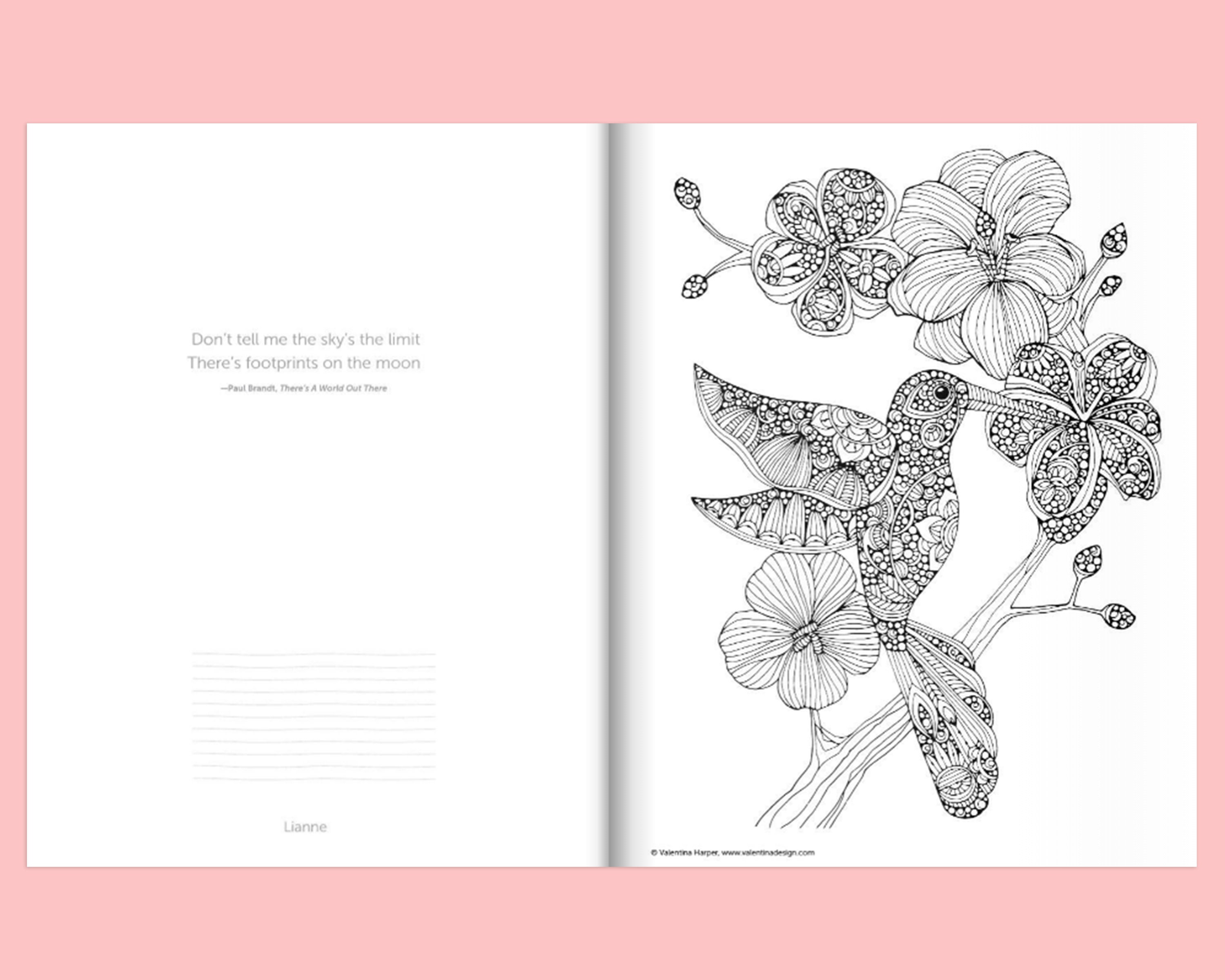 Coloring book creative coloring birds coloring book nature coloring valentina harper marie browning bird lover gift coloring gift