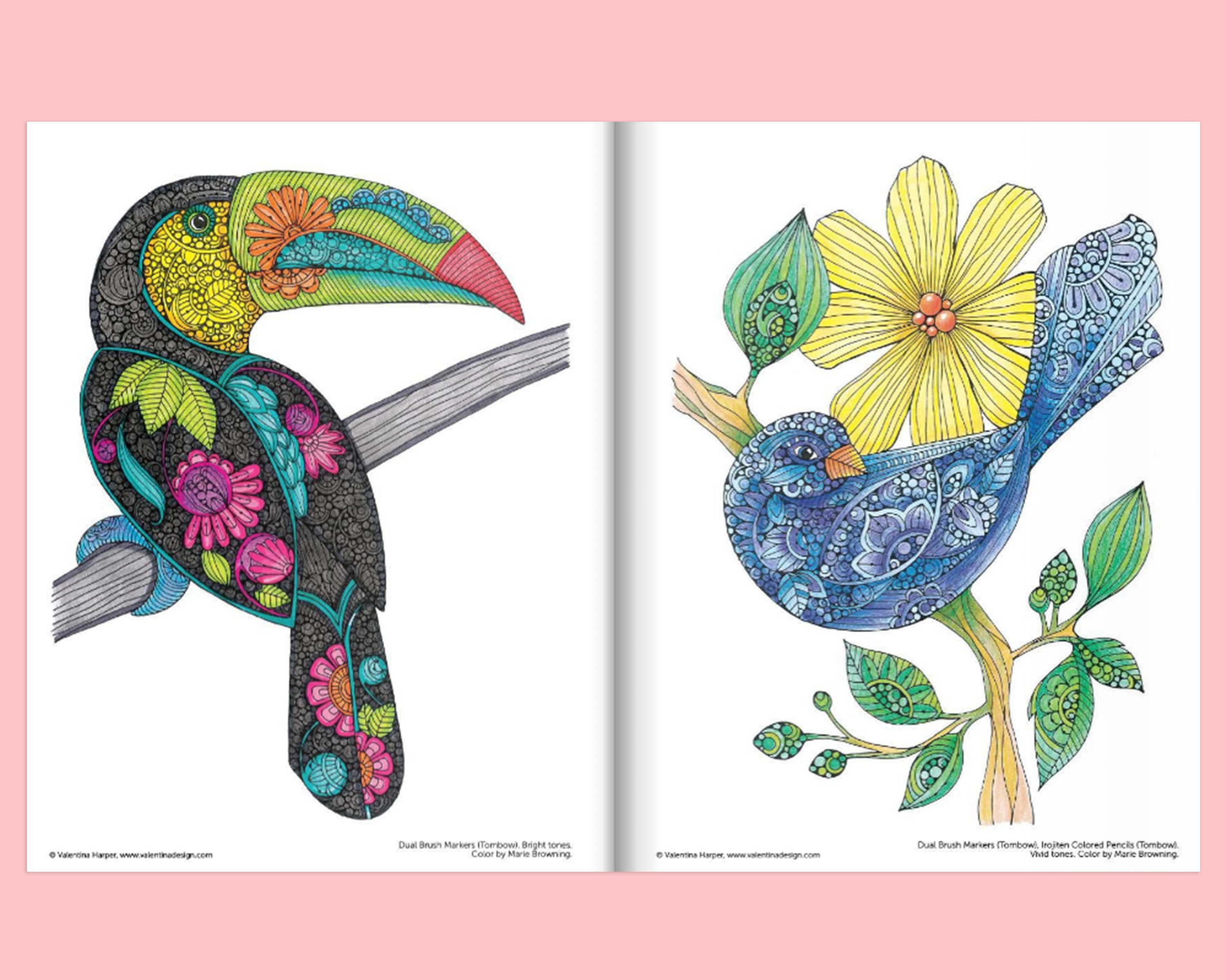 Coloring book creative coloring birds coloring book nature coloring valentina harper marie browning bird lover gift coloring gift