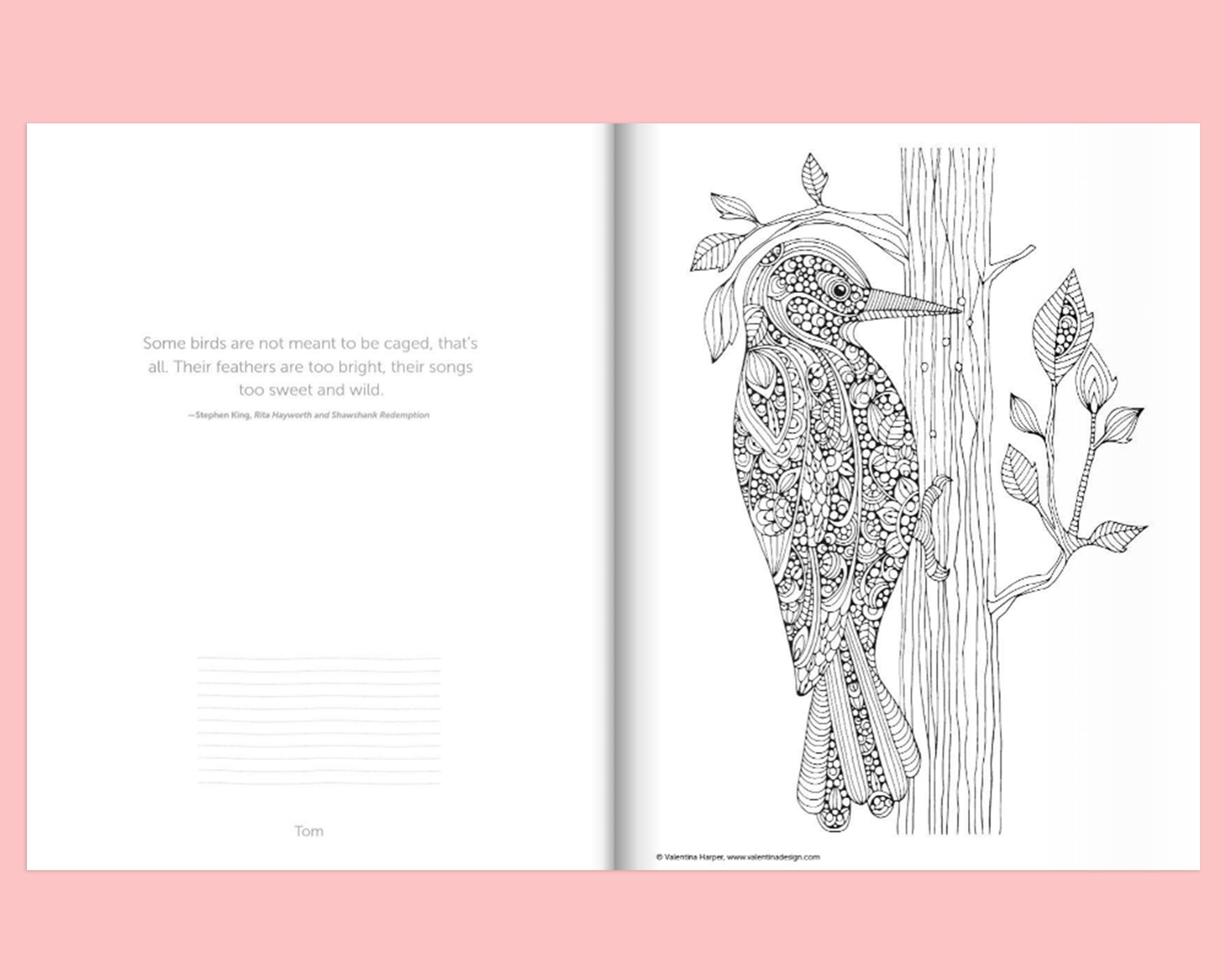 Coloring book creative coloring birds coloring book nature coloring valentina harper marie browning bird lover gift coloring gift