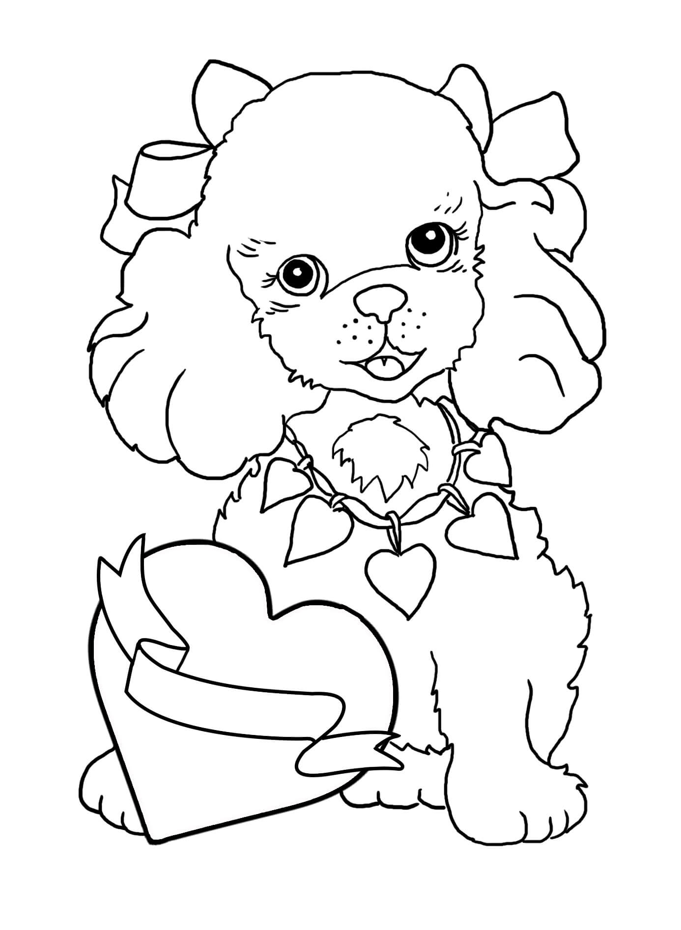 Poodle dog with heart in valentine coloring page