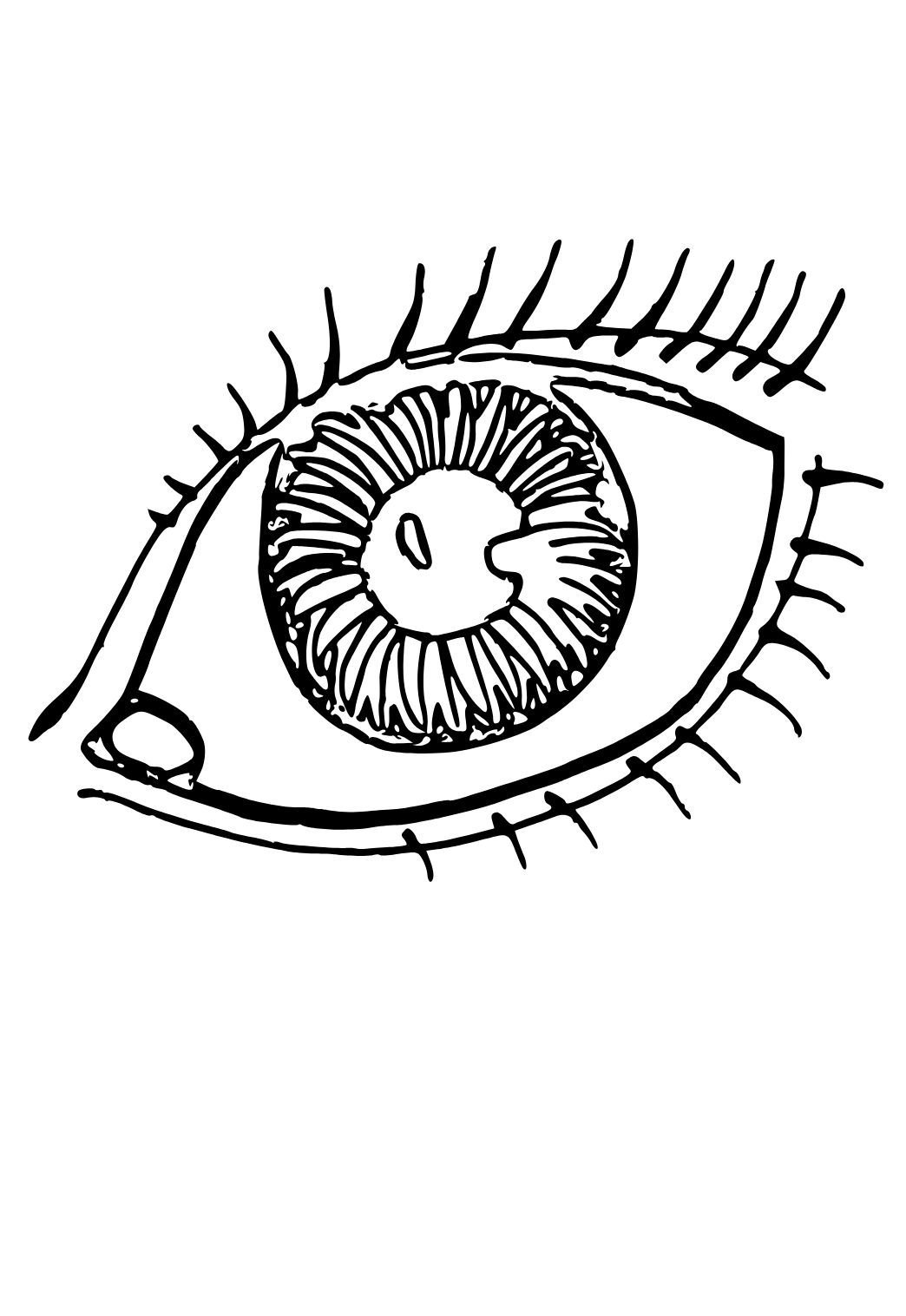 Free printable eye attention coloring page for adults and kids