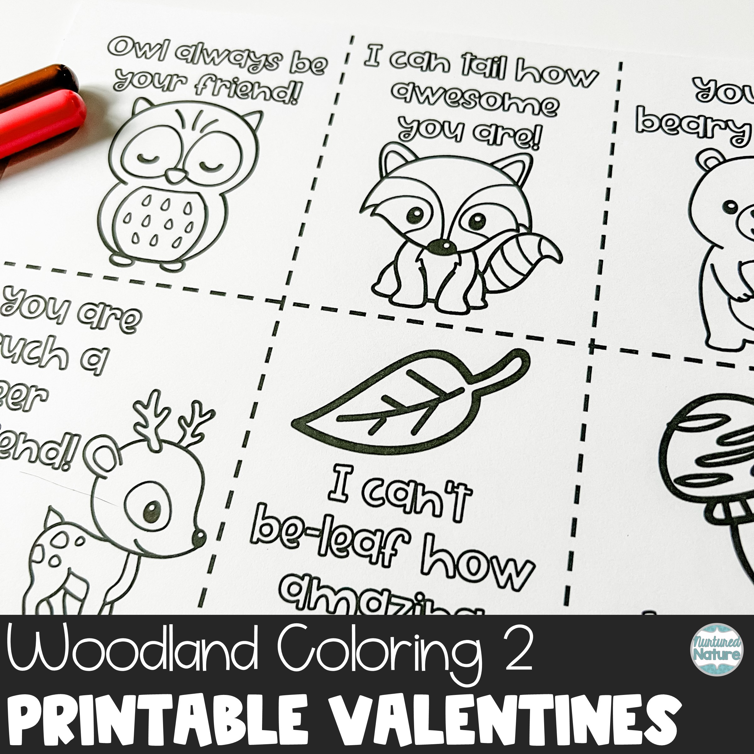 Woodland animals coloring valentines for students