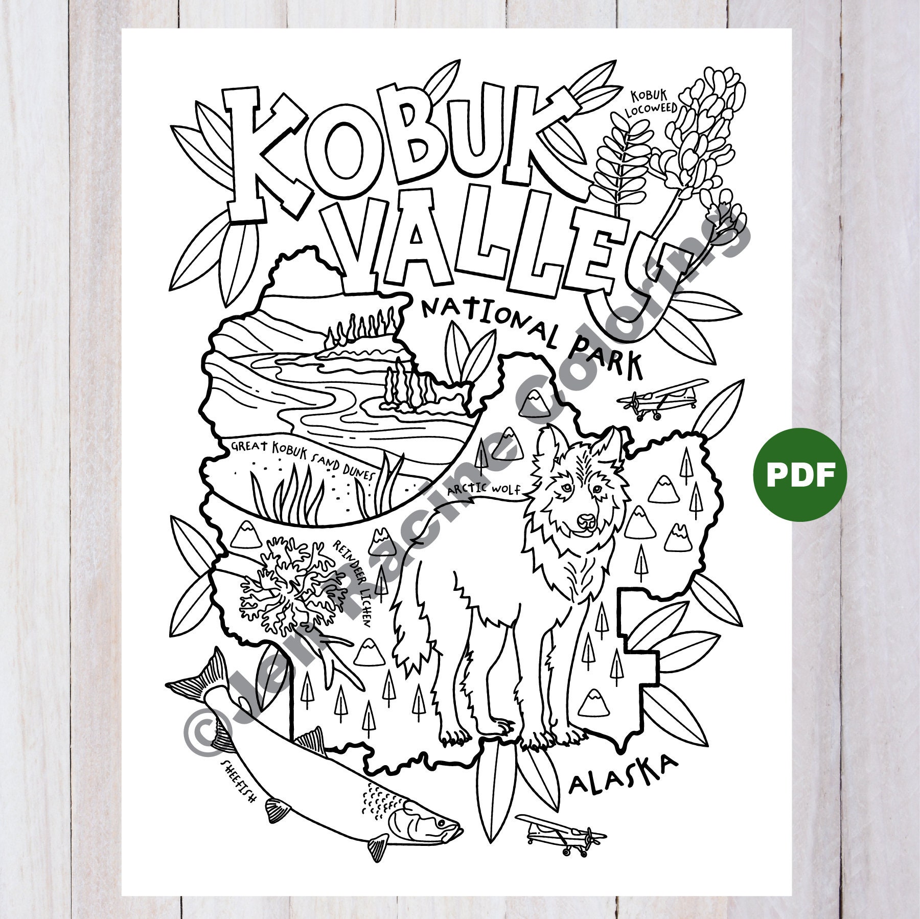 Kobuk valley national park coloring page