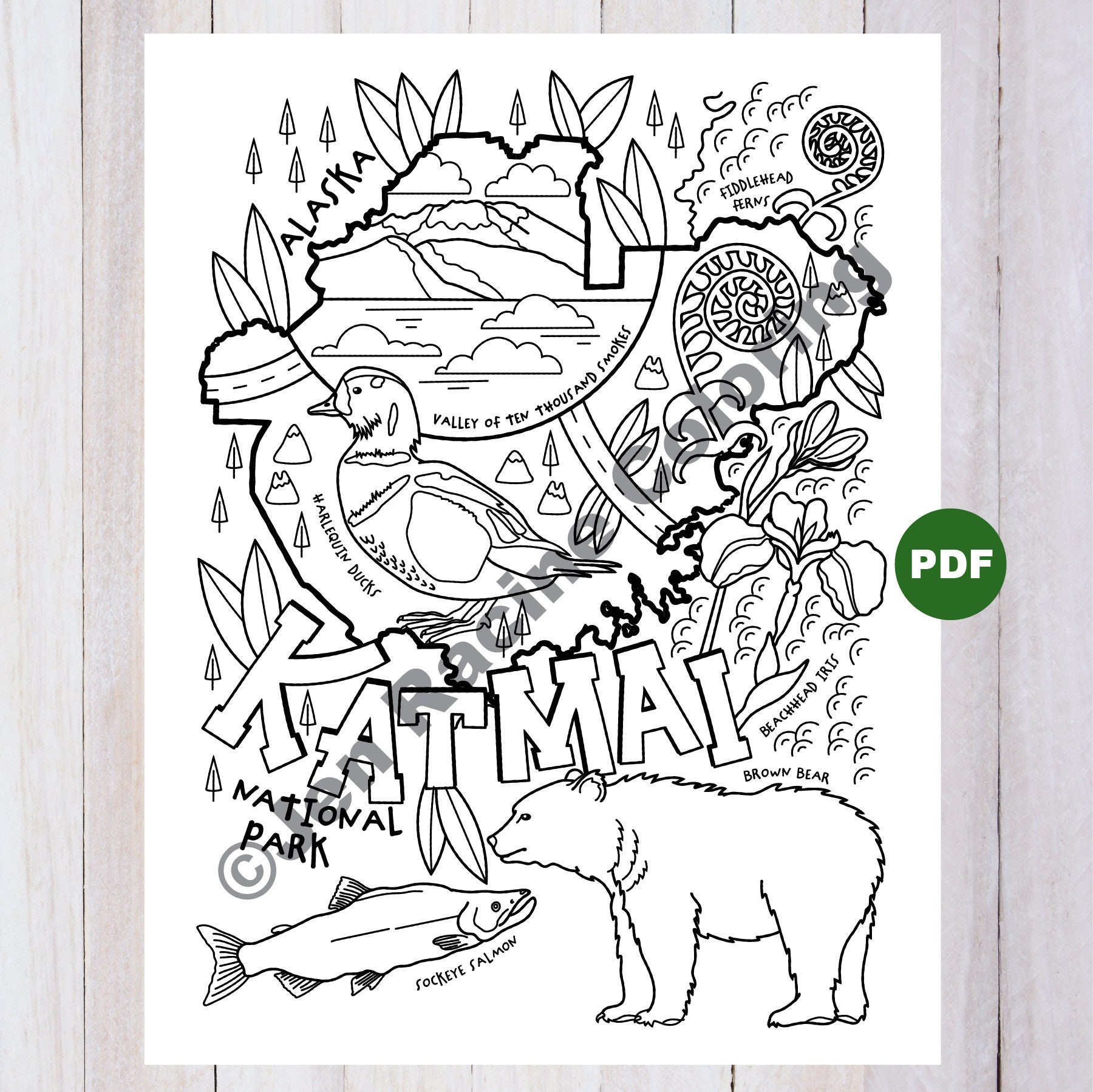 Katmai national park coloring page