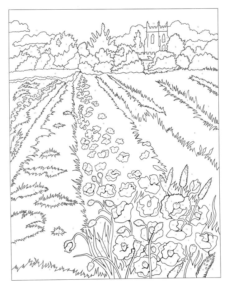 Ready to color flower coloring pages chicken crafts colouring pages