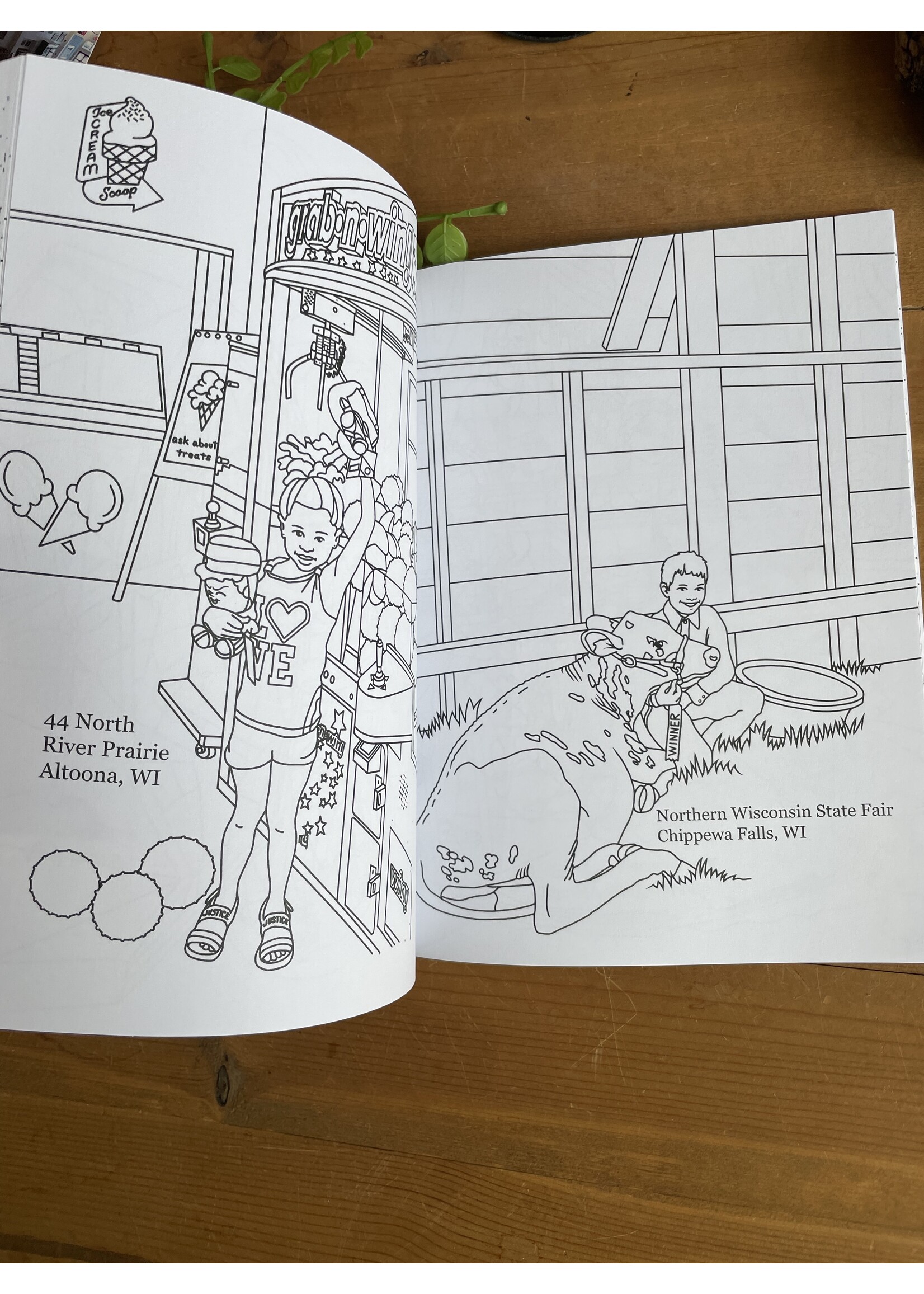 Color the chippewa valley coloring book