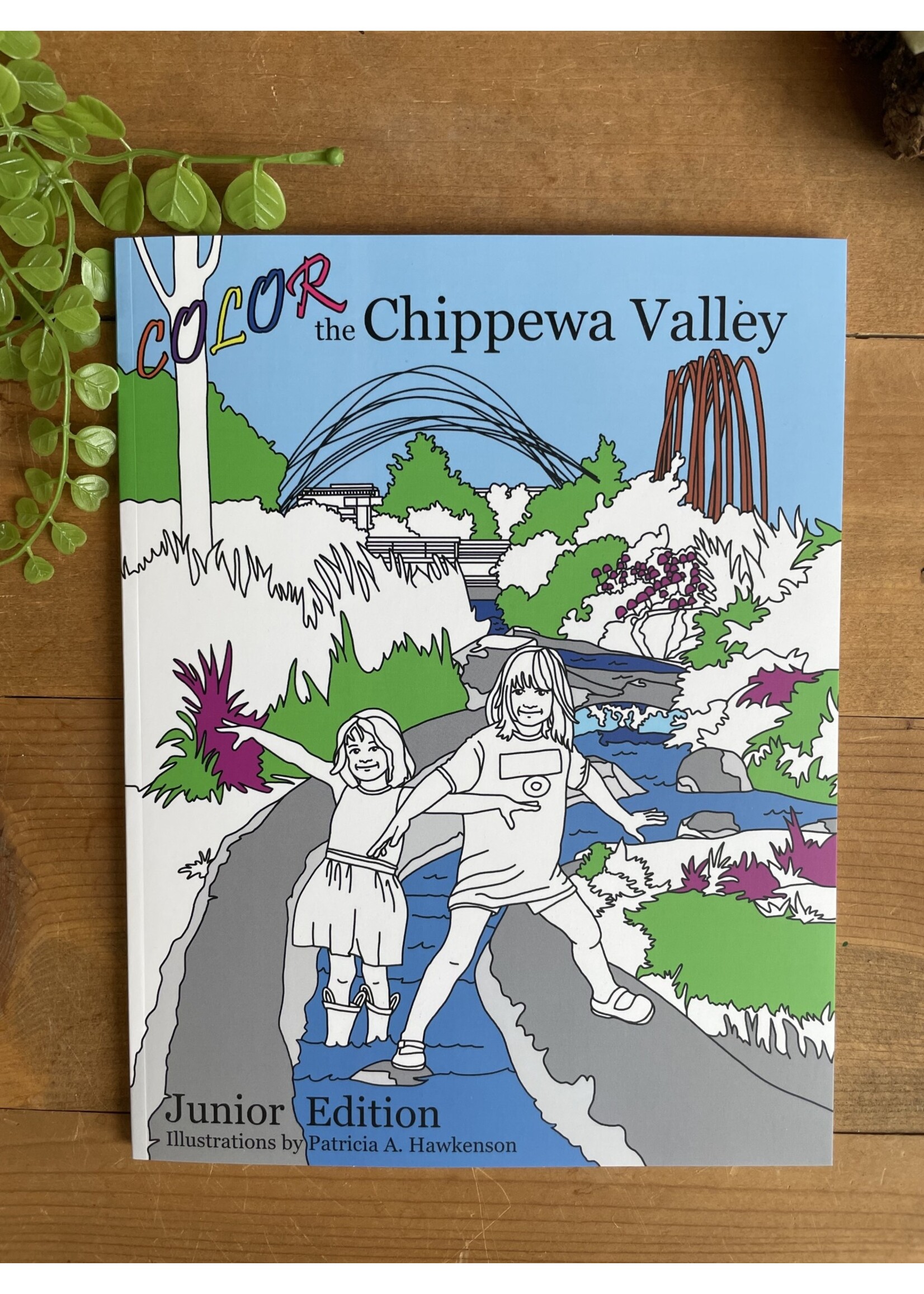 Color the chippewa valley coloring book