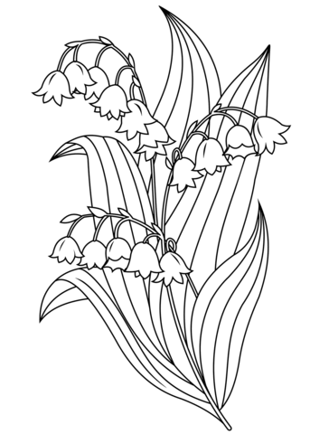 Lily of the valley coloring pages printable for free download