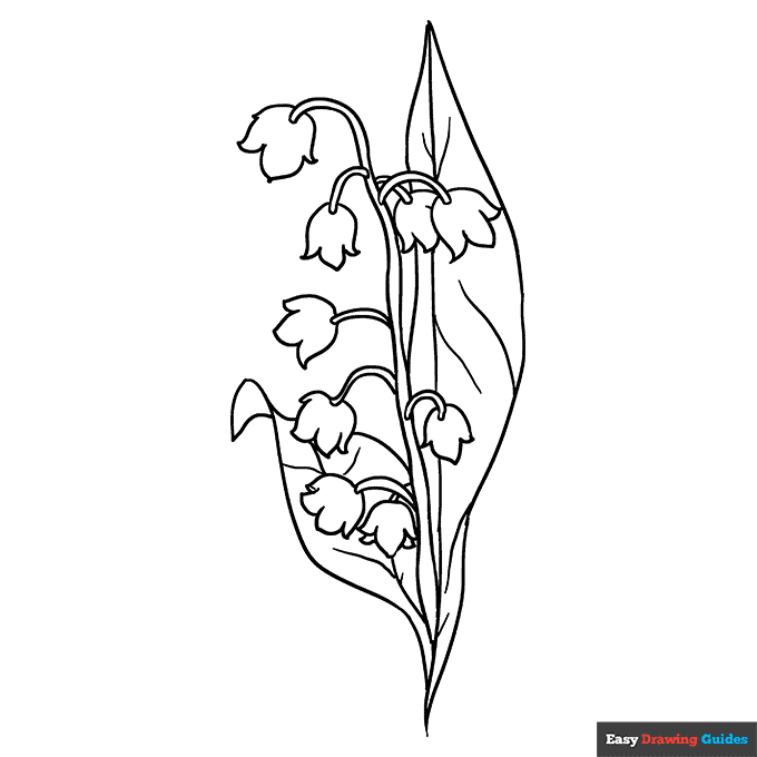 Lily of the valley coloring page easy drawing guides