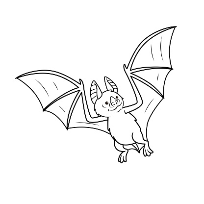 Vector illustration of vampire bat isolated on white background for kids coloring book stock illustration