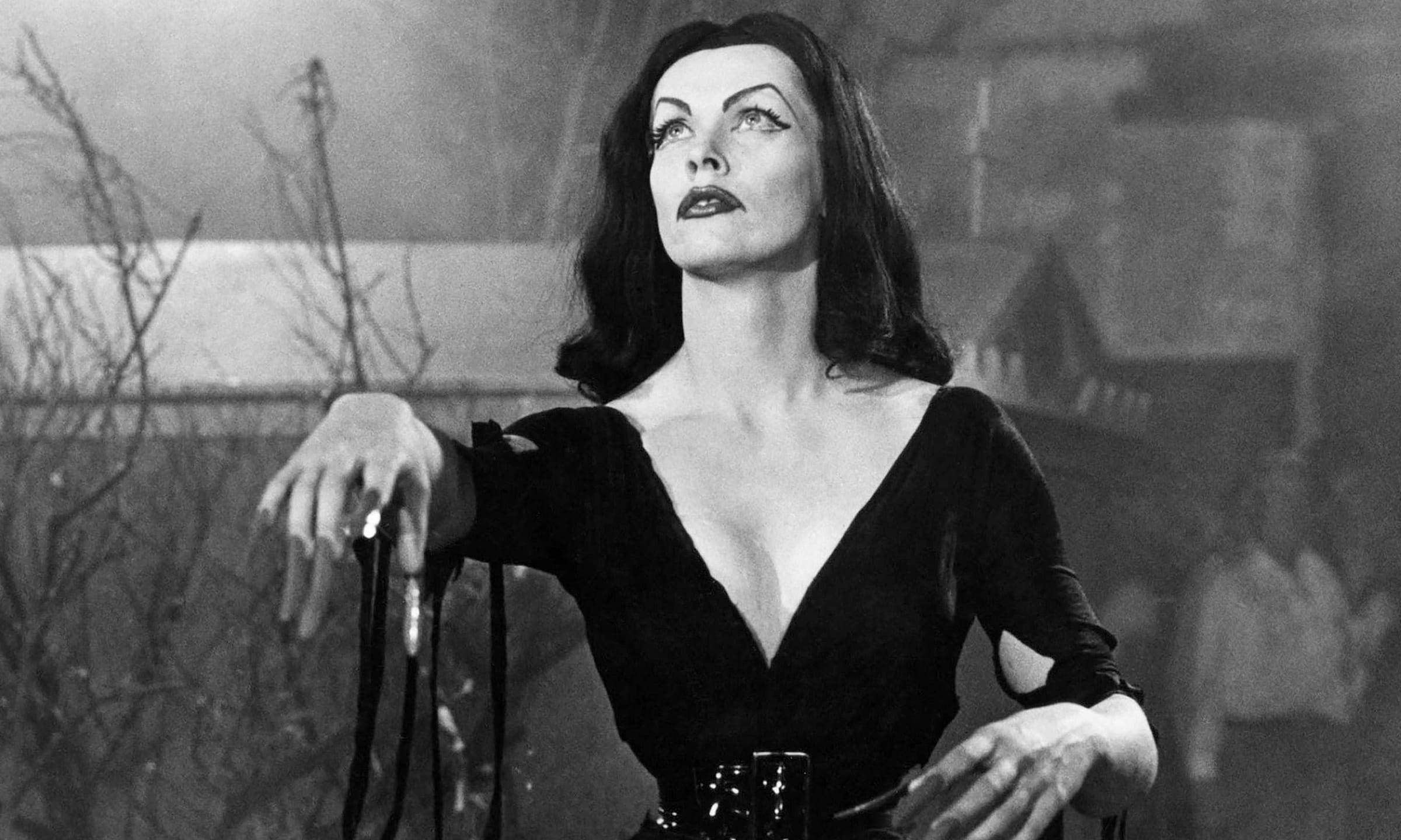 What happened to vampira who came before elvira