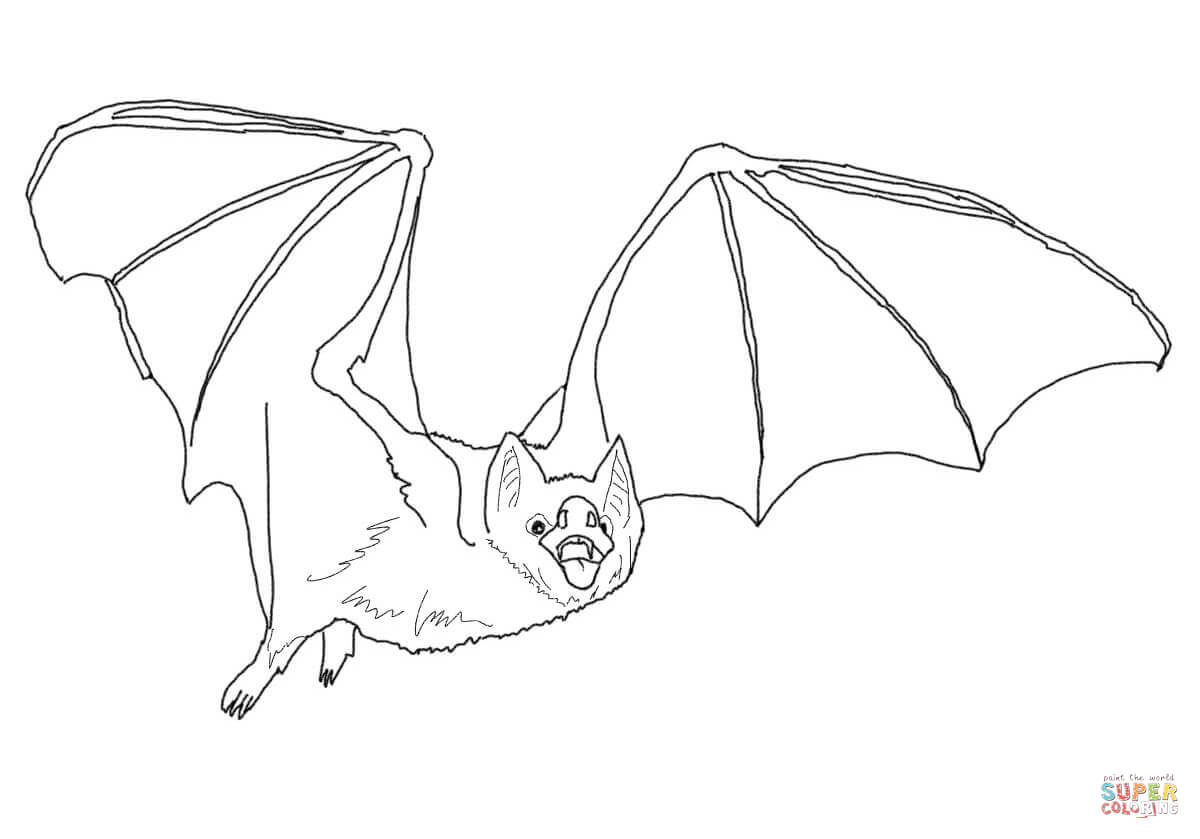 Mon vampire bat coloring page free printable coloring pages