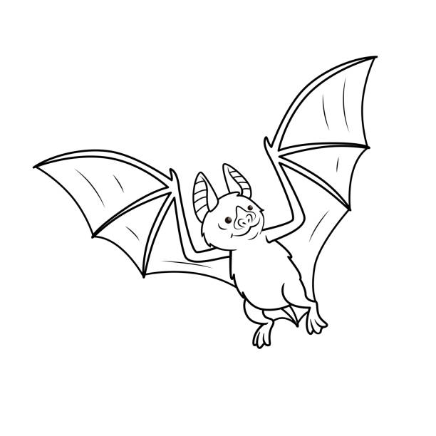 Vector illustration of vampire bat isolated on white background for kids coloring book stock illustration