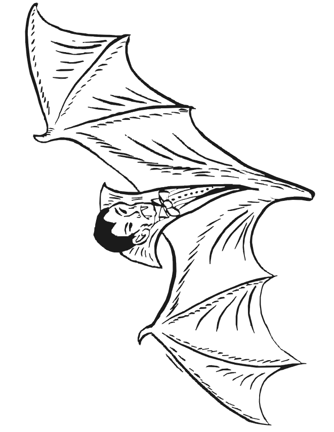 Vampire coloring page vampire bat