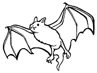 Bat coloring pages and printable activities