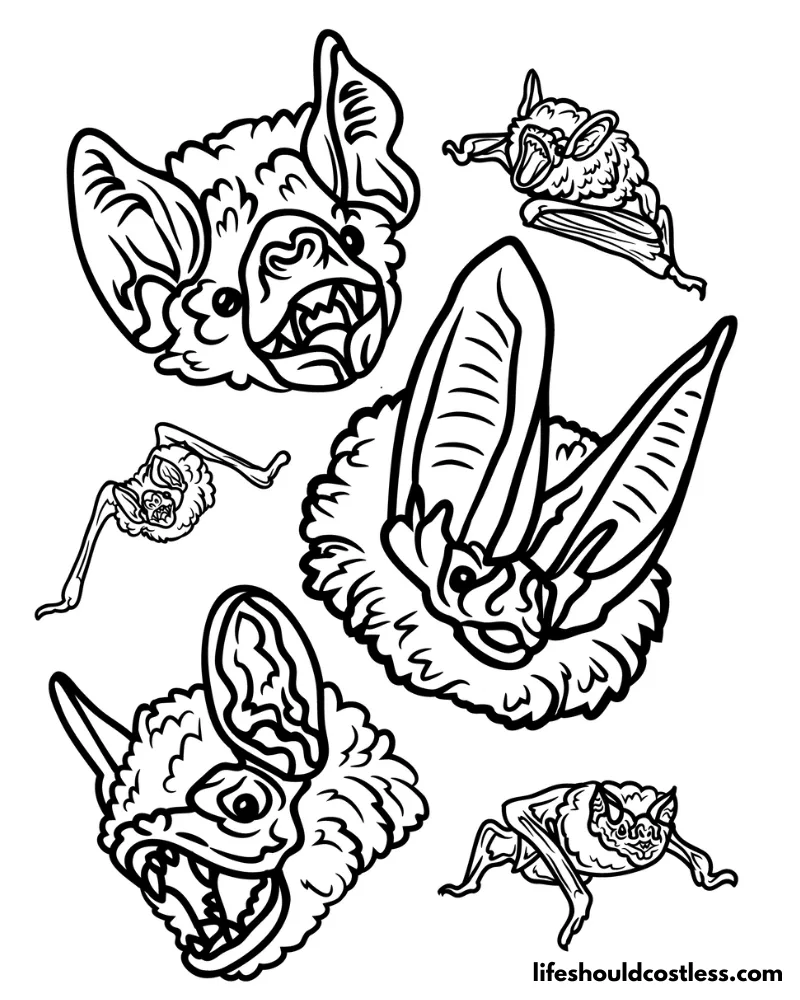 Bat coloring pages free printable pdf templates