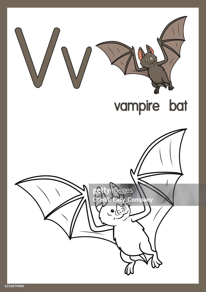 Vector illustration of vampire bat with alphabet v for children learning practice abc on a paper size ready to print high