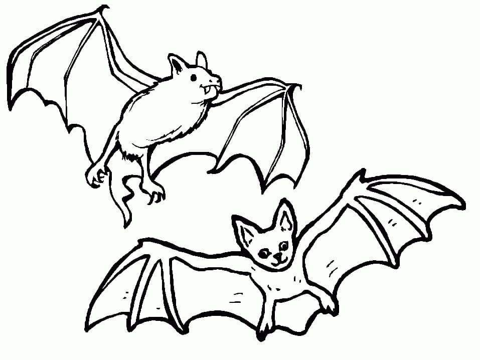 Two bats coloring page