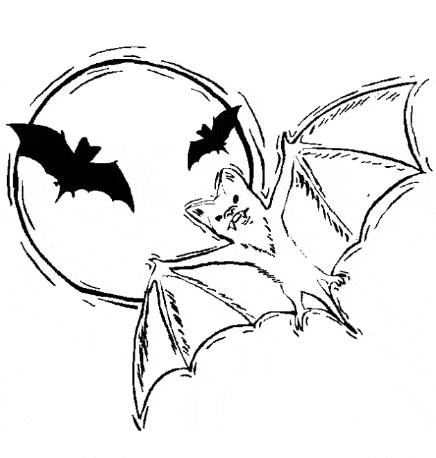 Vampire bat coloring page