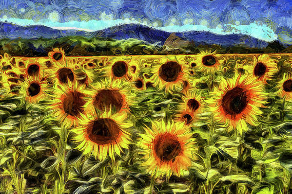 Sunflower field van gogh art print by david pyatt