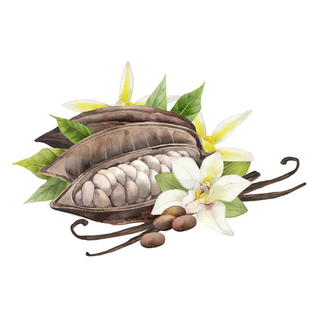 Vanilla flower free stock vectors