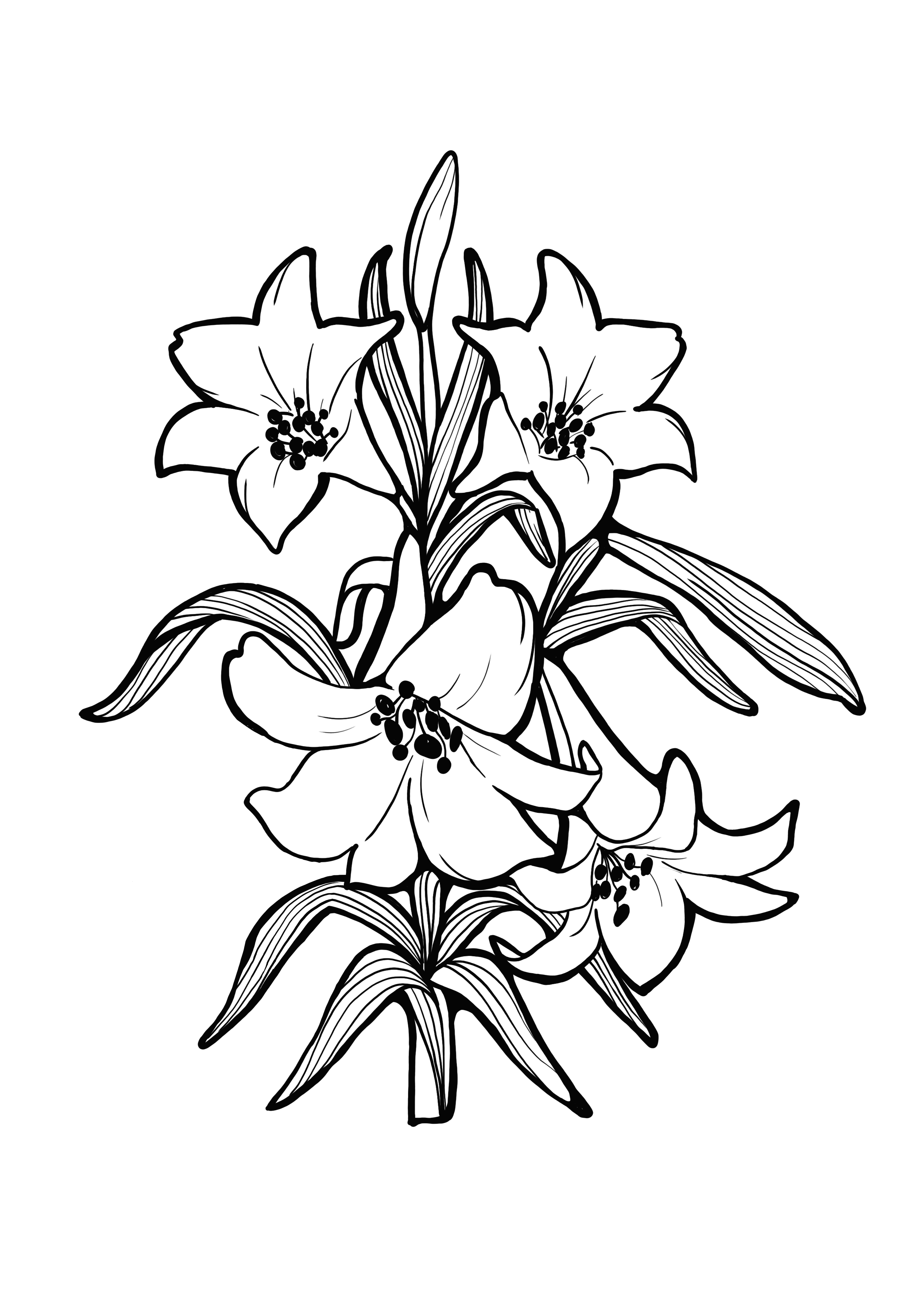 Vanilla flower to color