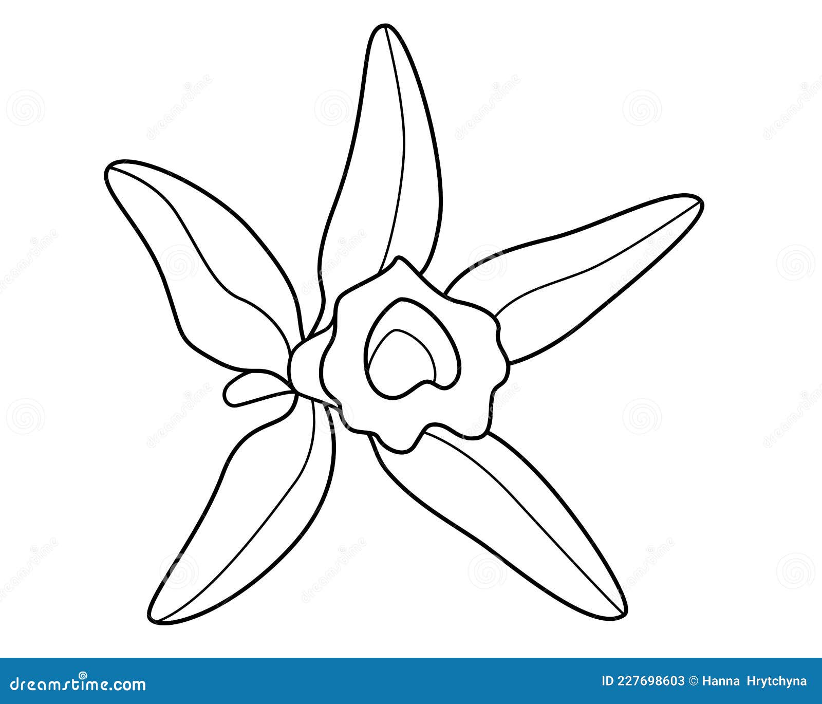 Vanilla flower