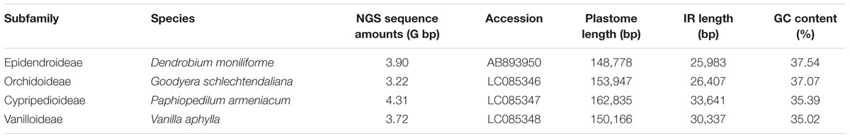 Frontiers the complete plastome sequences of four orchid species insights into the evolution of the orchidaceae and the utility of plastomic mutational hotspots