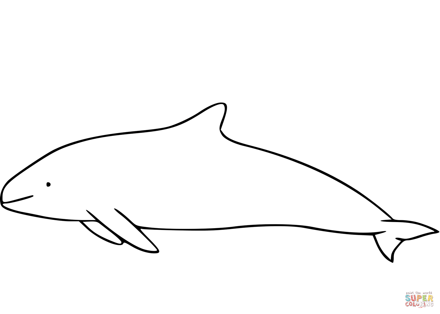 Vaquita coloring page free printable coloring pages