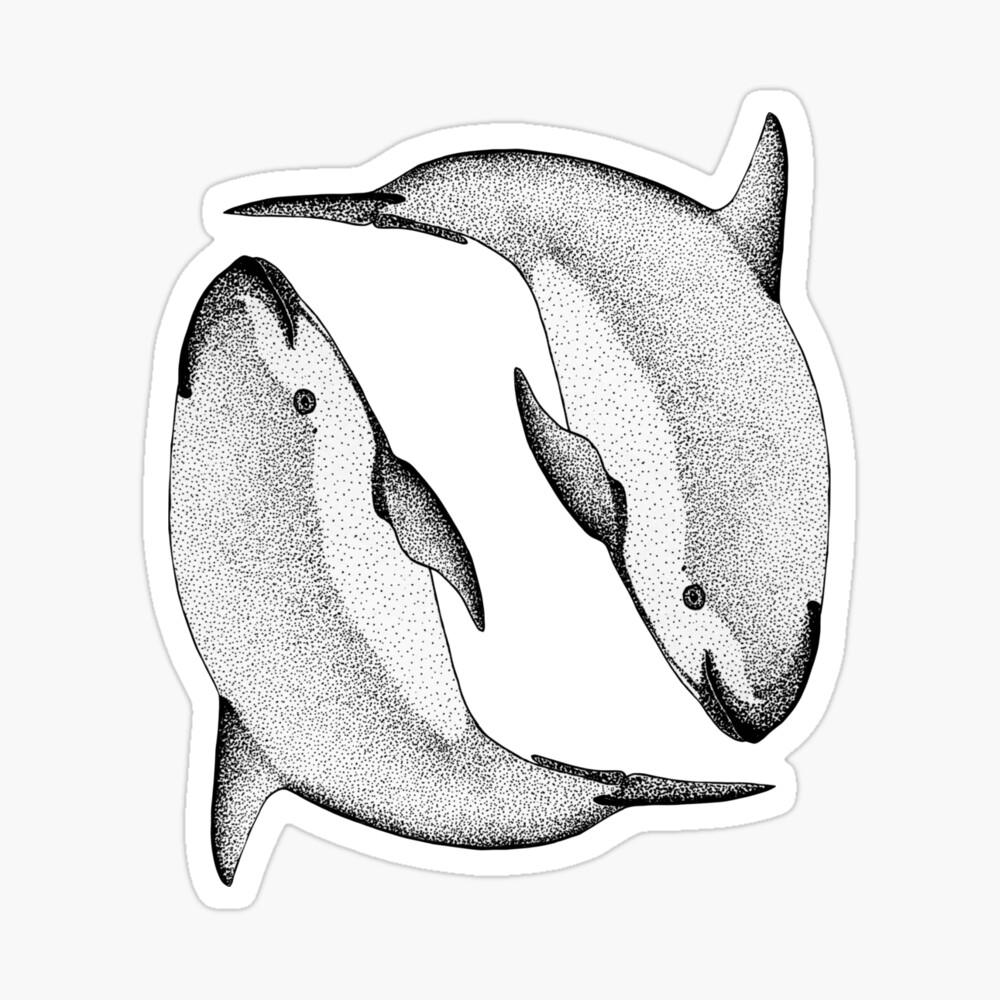 Vaquita porpoise twin pin for sale by selena rivera