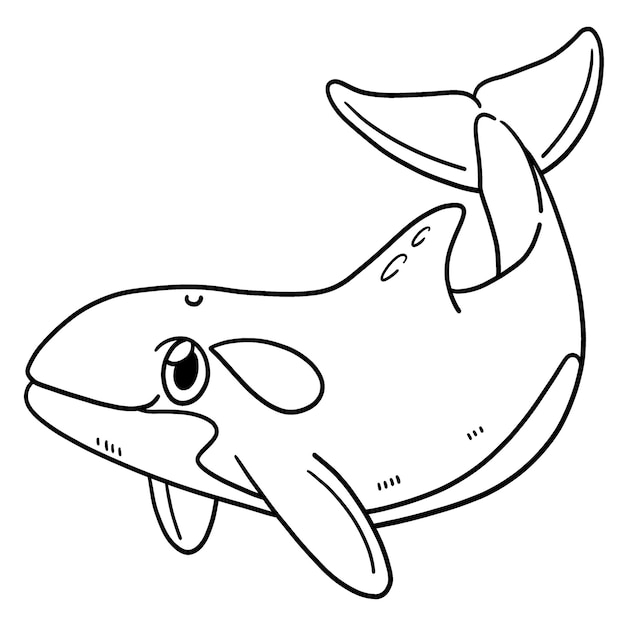 Premium vector killer whale isolated coloring page for kids