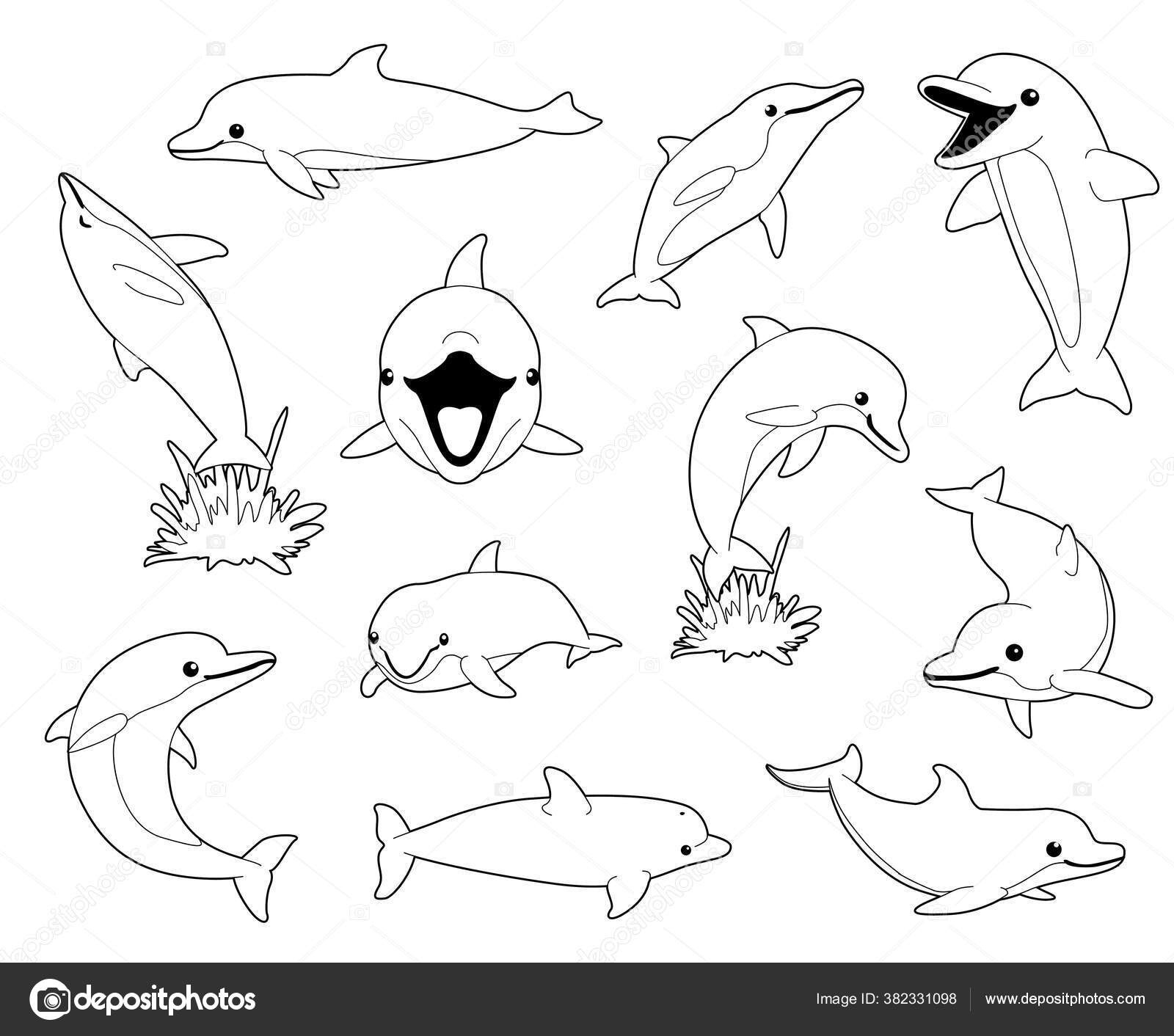 Cute dolphin coloring book cartoon vector illustration stock vector by punnawich