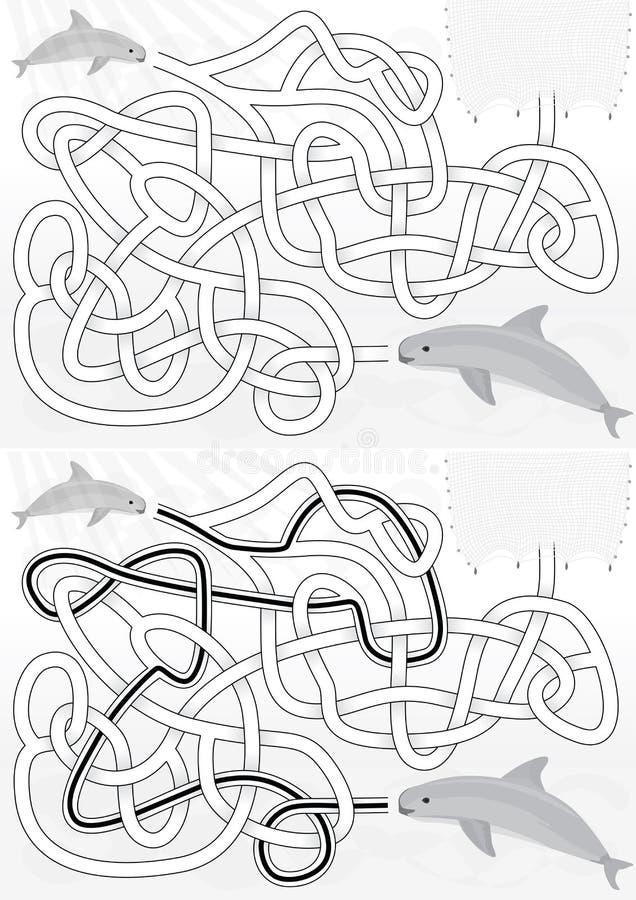 Vaquita stock illustrations â vaquita stock illustrations vectors clipart