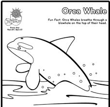 Coloring pages coloring pages color marine animals