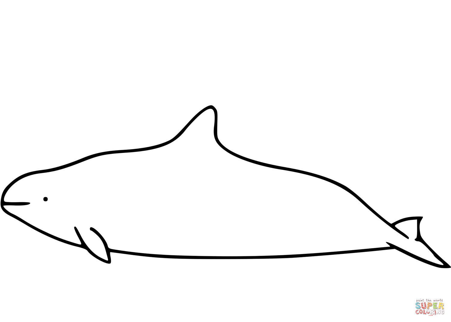 Dalls porpoise coloring page free printable coloring pages