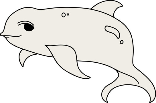 Vaquita images â browse photos vectors and video