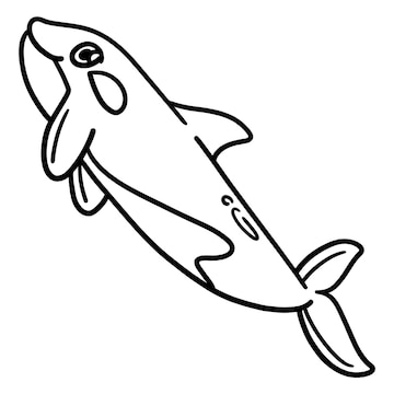 Premium vector killer whale isolated coloring page for kids