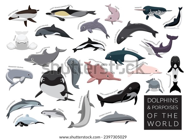 Imagens fotos stock objetos d e vetores de vaquita