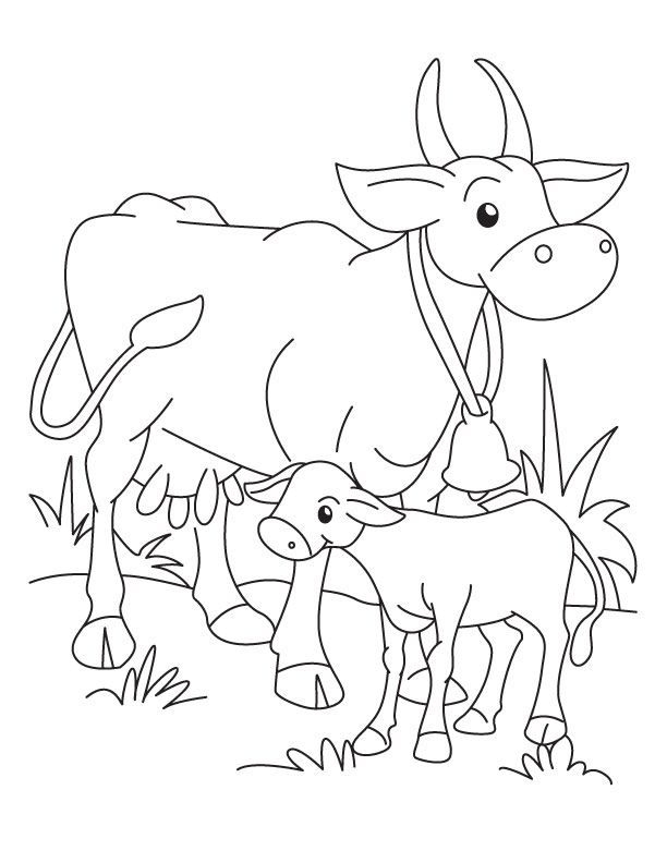 Cow and calf colorg page cow colorg pages zoo colorg pages horse colorg pages