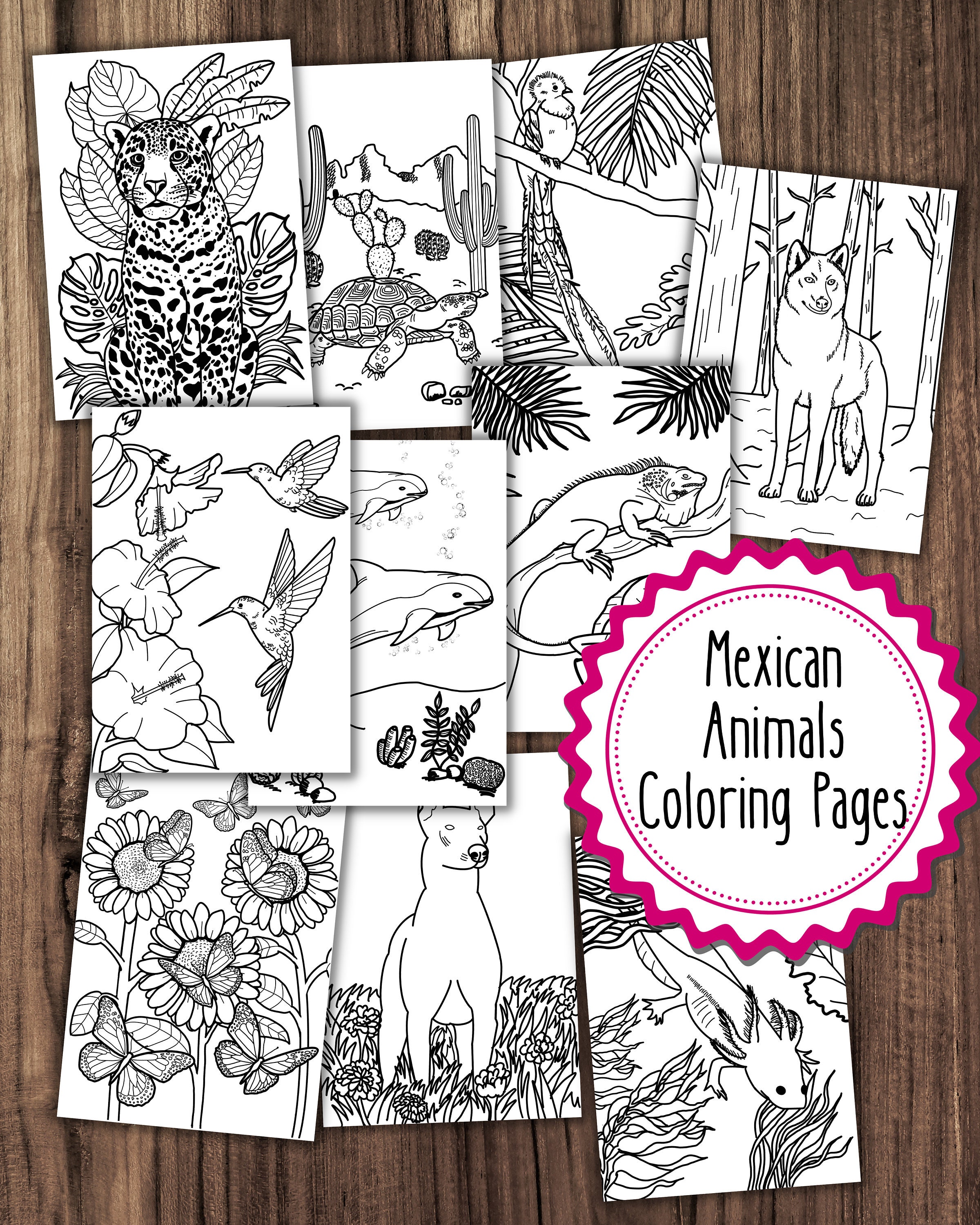 Mexican animals coloring pages mexico nature coloring pages bundle adult coloring book kids coloring book mexico coloring pages