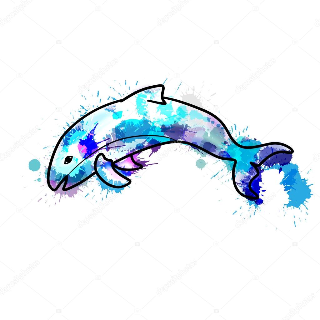 Vaquita porpoise made of colorful splashes stock vector by blackspring